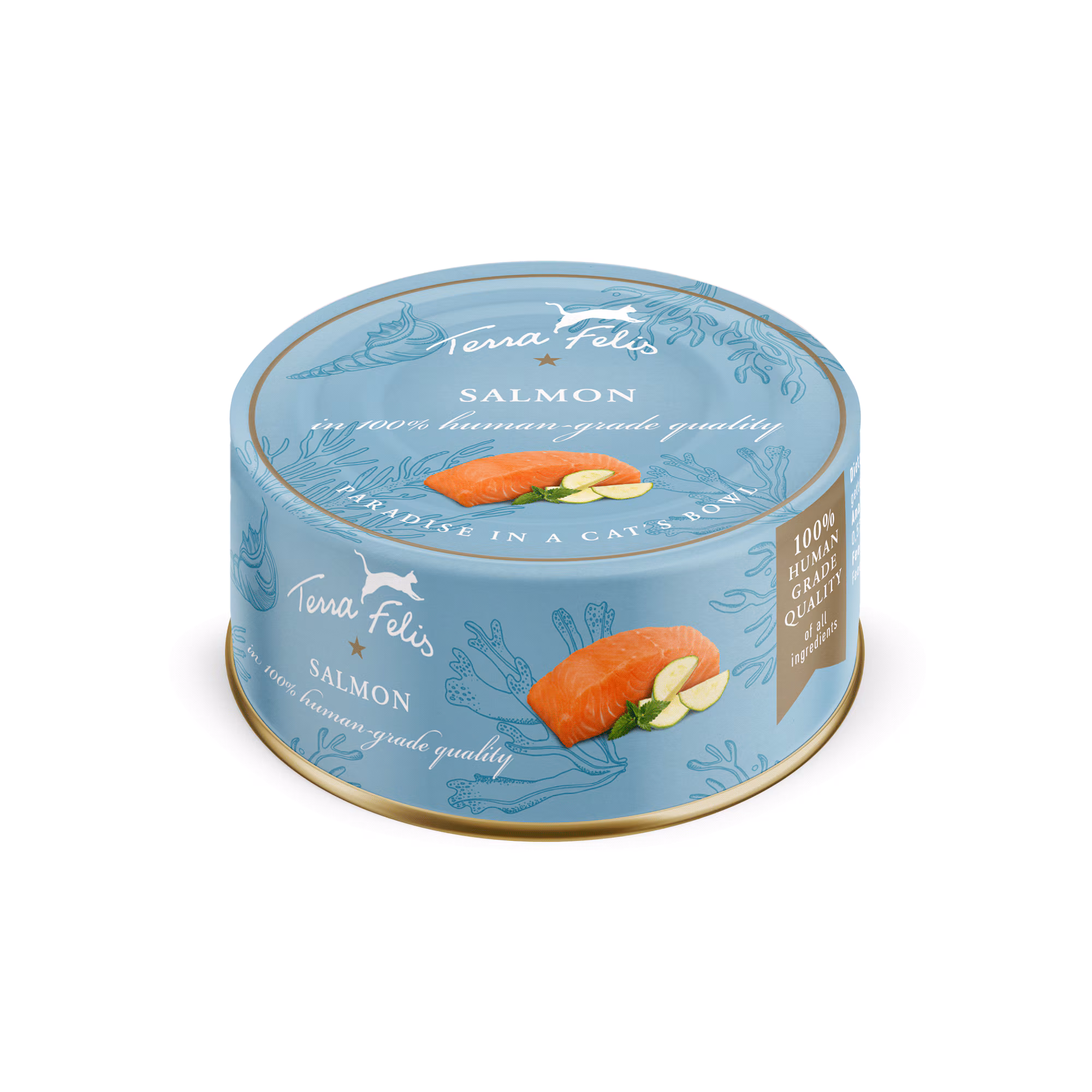 Salmon