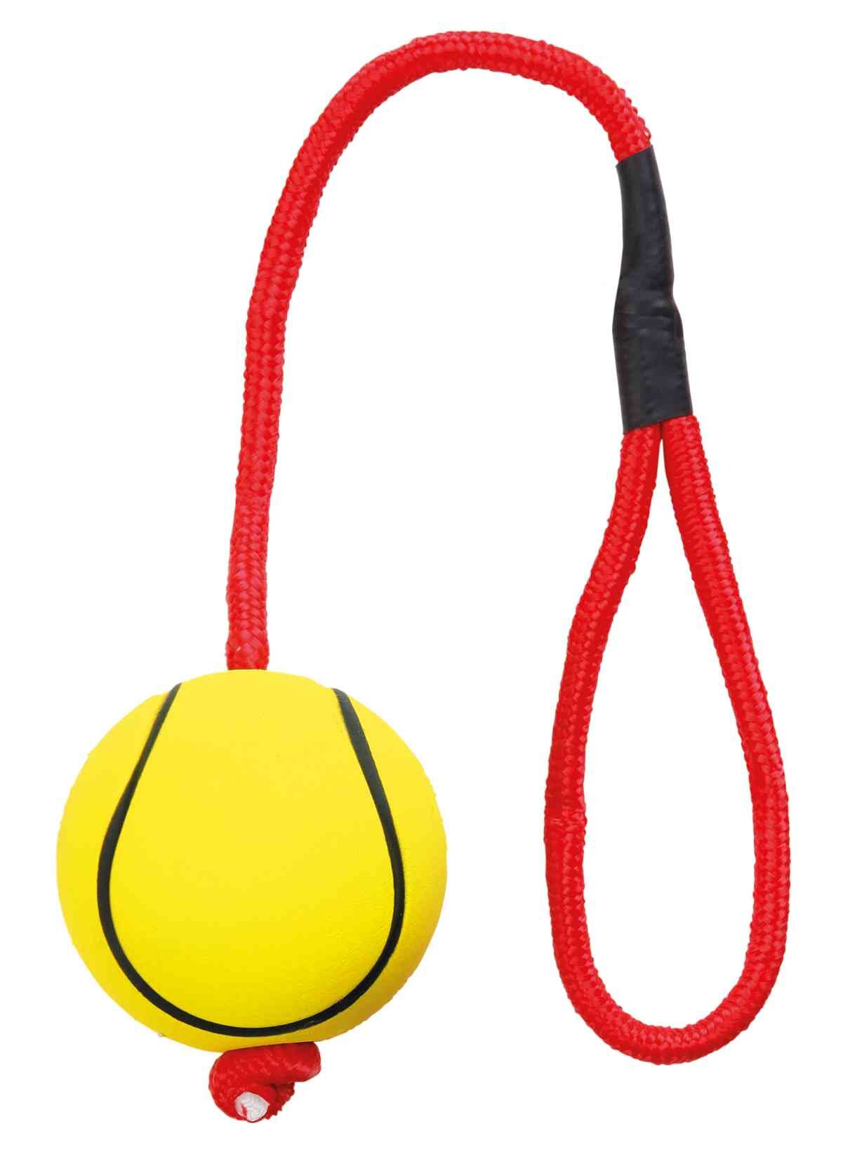 Ball on a rope