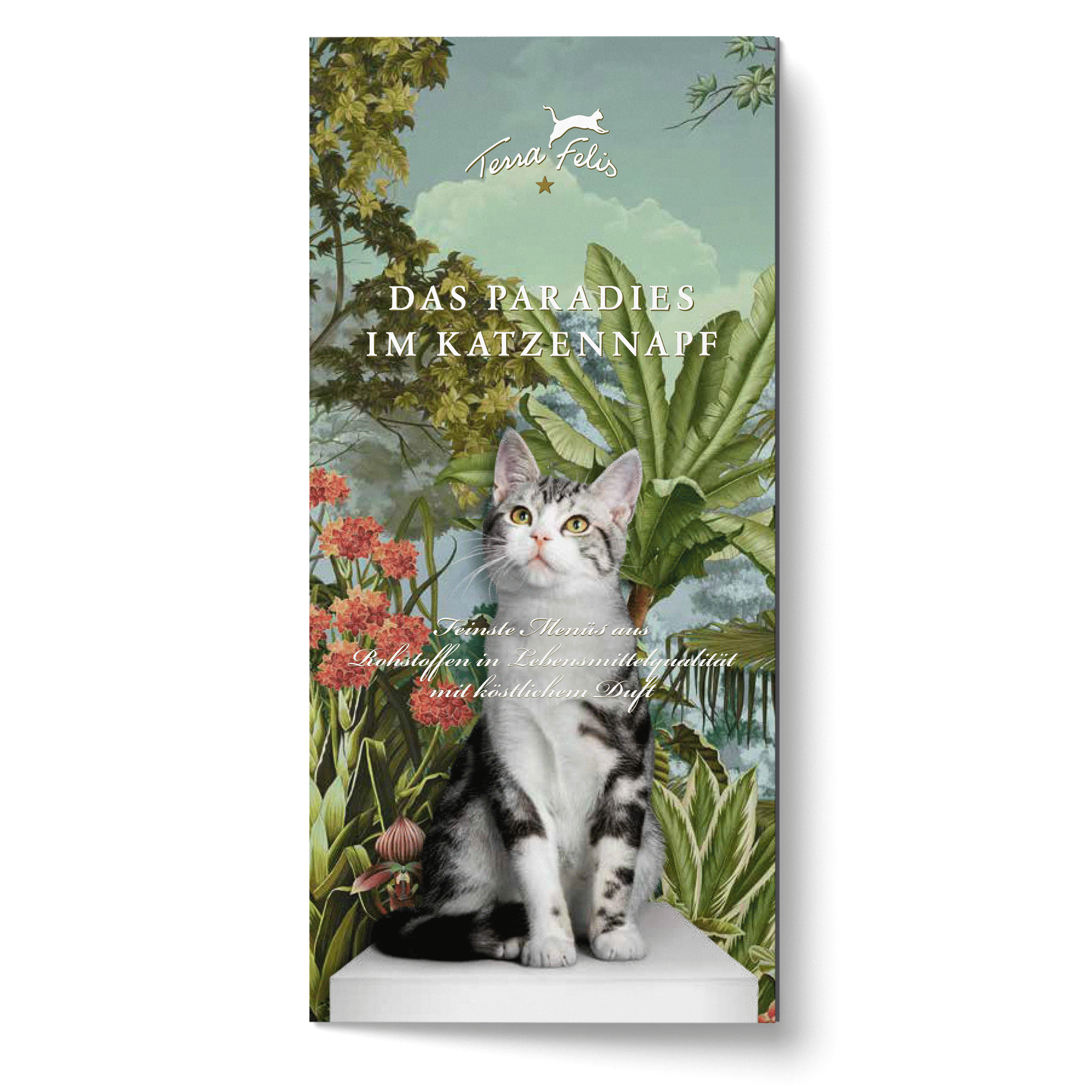 TF Catalogue des produits, version anglaise