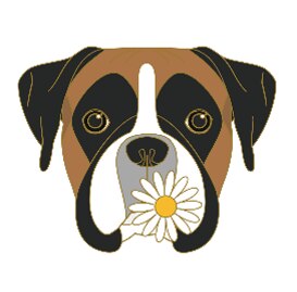 Pin Boxer mit Blume