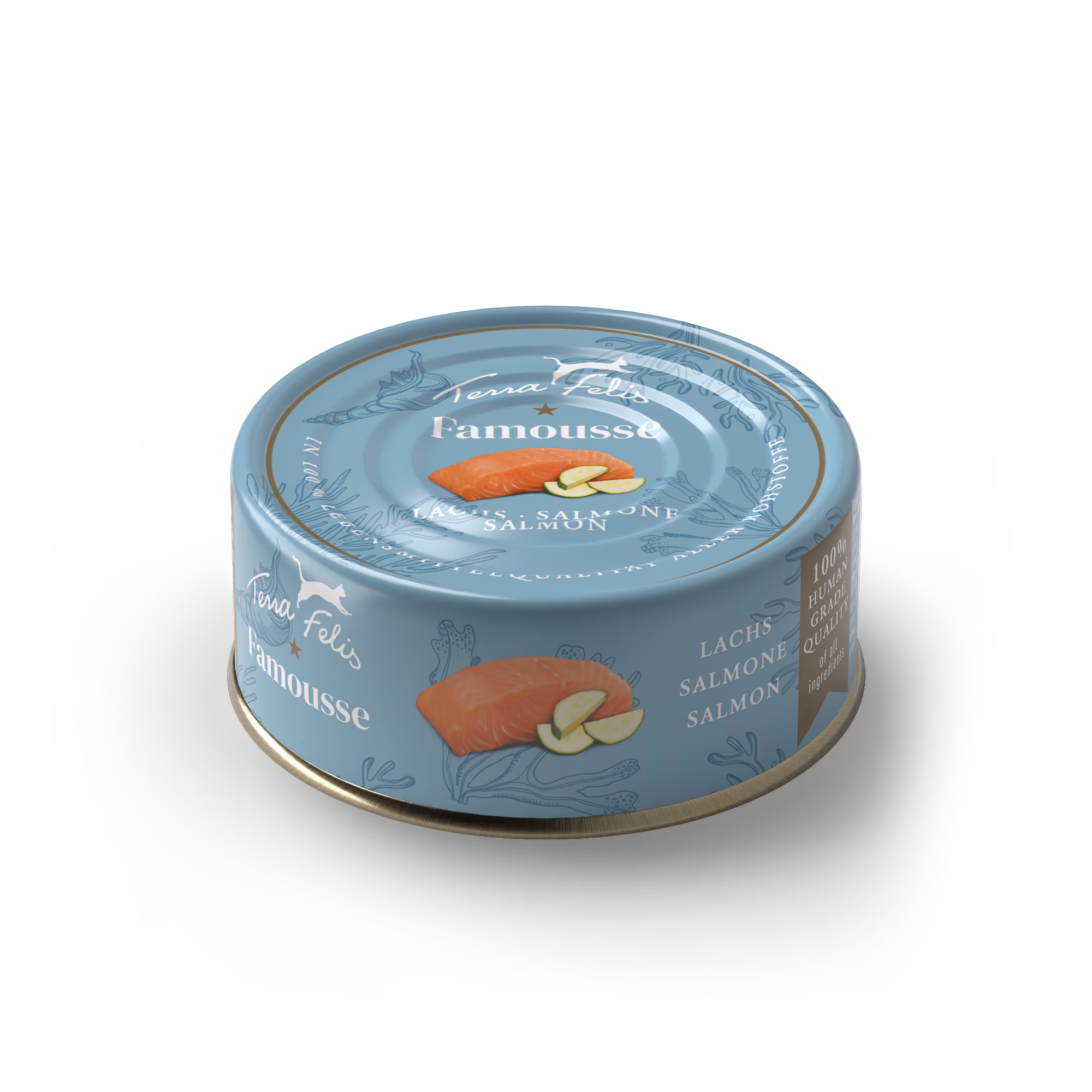 Salmon