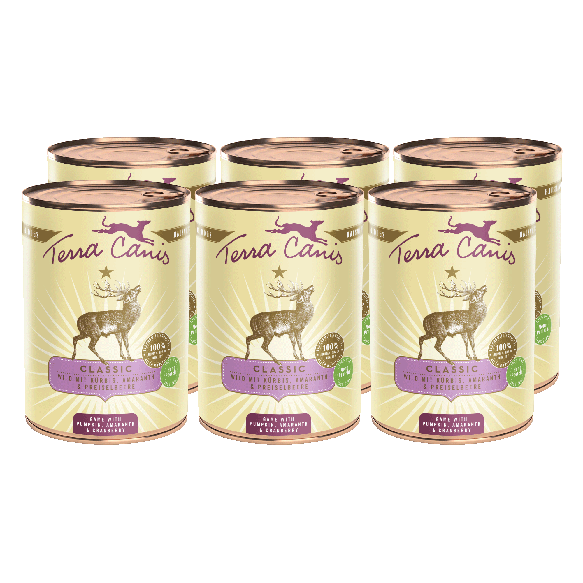 Wild mit Kürbis, Amaranth und Preiselbeere