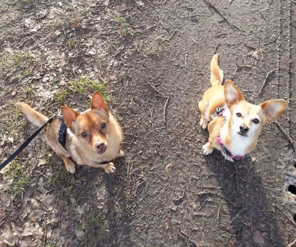 Jana, Gimmy & Lilly