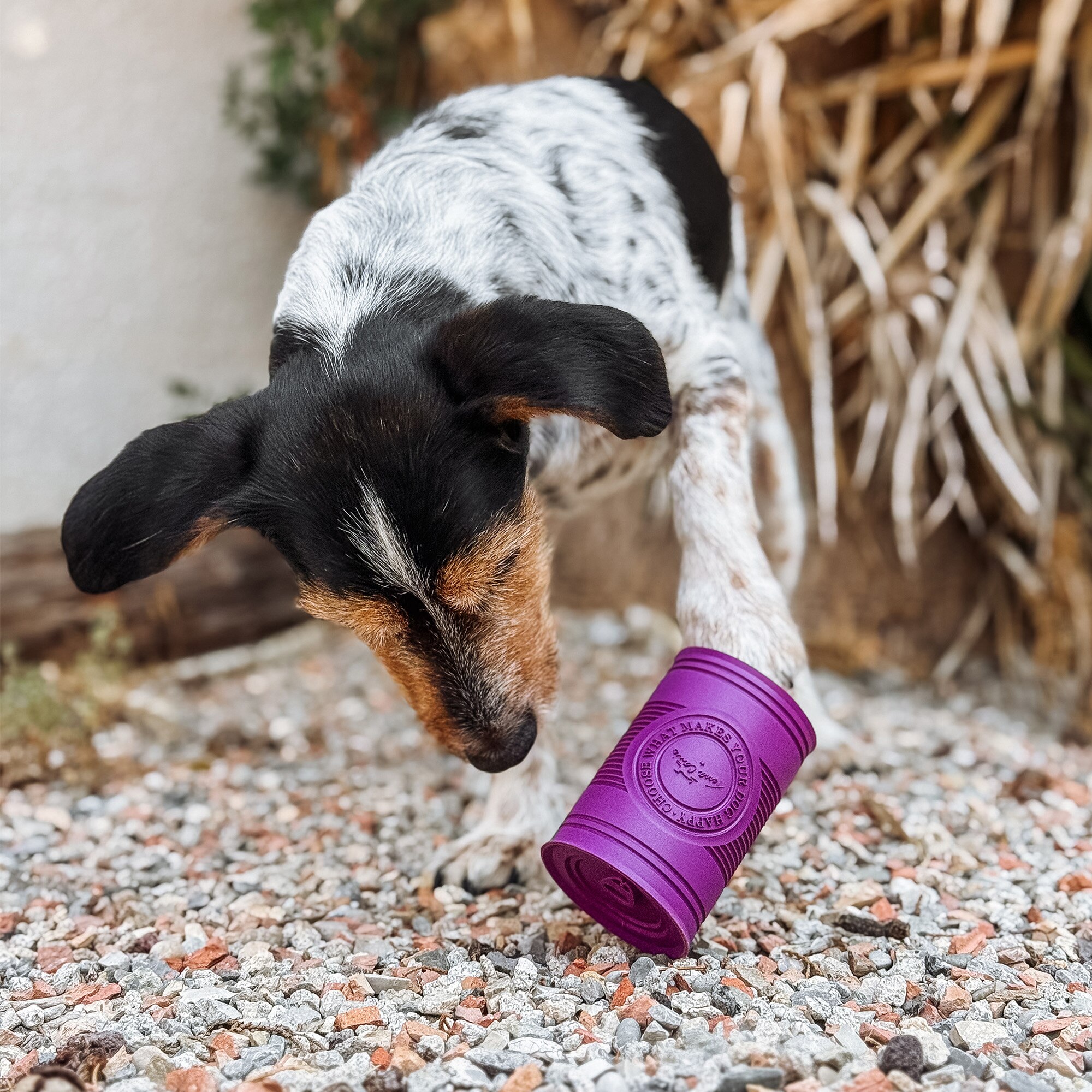 Terra Canis Treat-Dispensing Chew Can