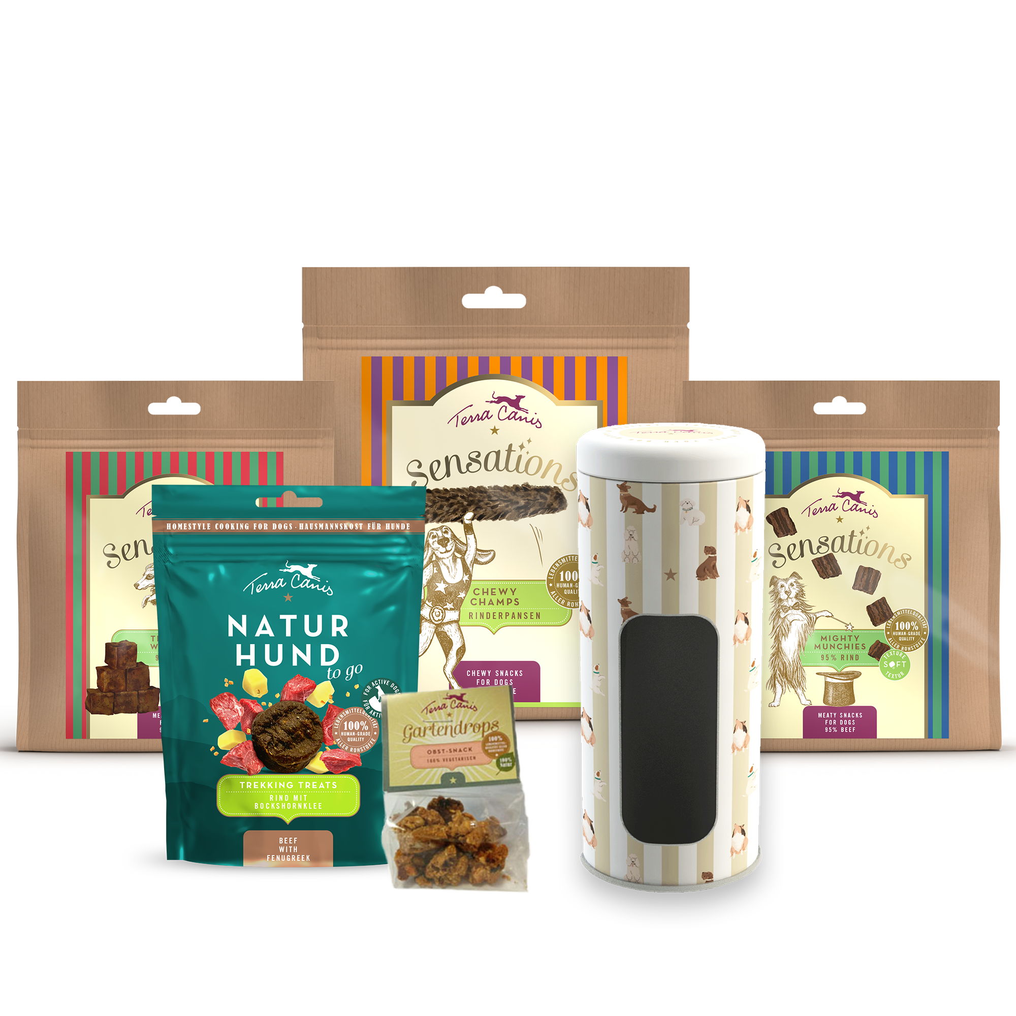 Treats Introductory package beef