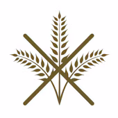 gluten
