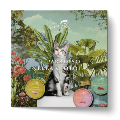 TF Das Paradies im Katzennapf-Flyer, italienische Version