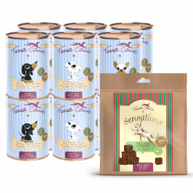 Gourmet package M - 12x 400g