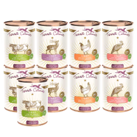 Introductory package L