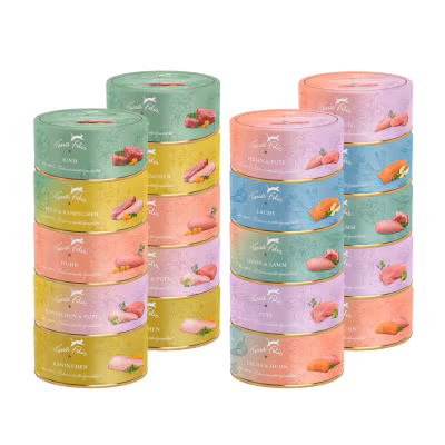 Kennenlernpaket