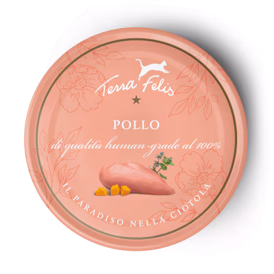 Pollo