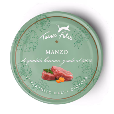 Manzo