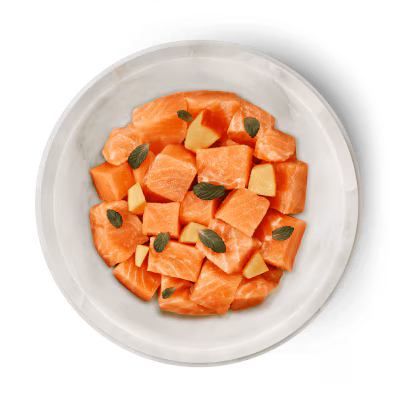Lachs