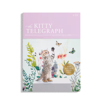 Kitty Telegraph Sommer 2023