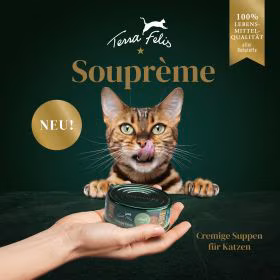 TF_Soupreme_Launchflyer_DE_2025